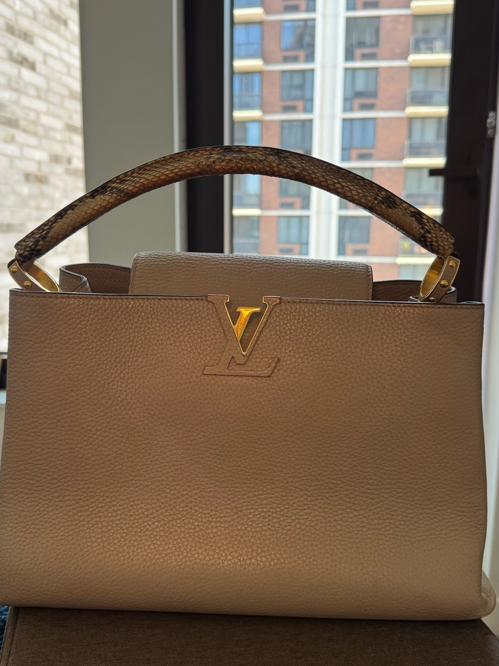 LOUIS VUITTON
Taurillon Snakeskin Capucines Galet GM